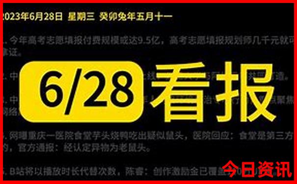 夏天最适合去的城市